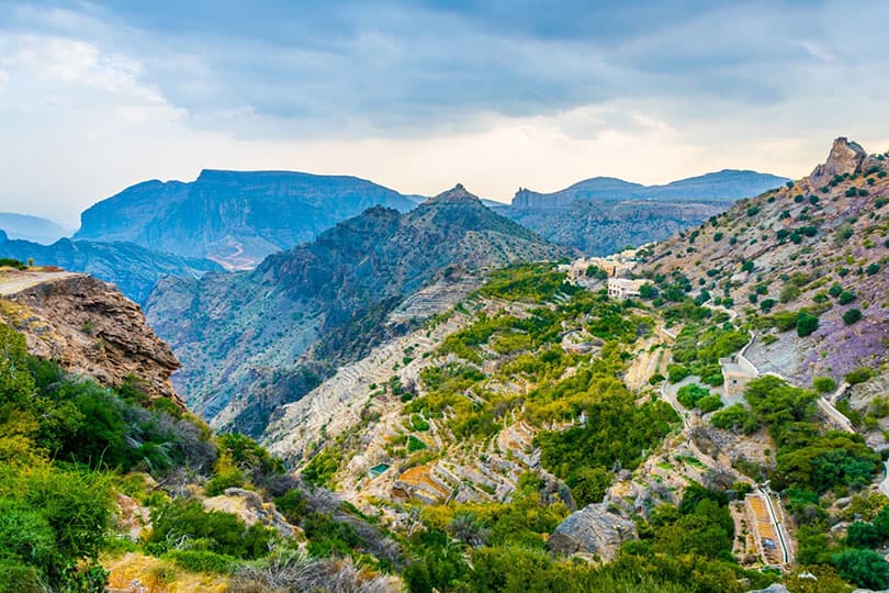 jabal-akhdar-031-2