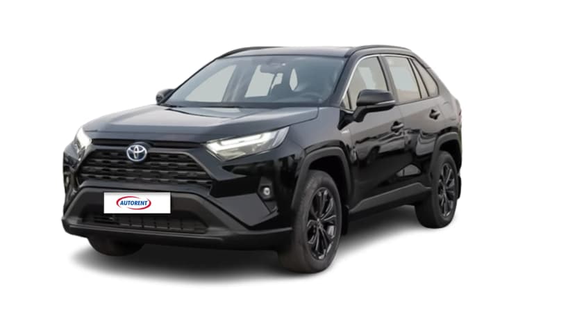 toyota-rav-4-25l-le-01