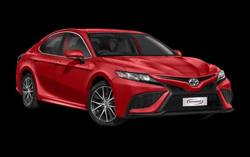 Check our Large Sedan listings